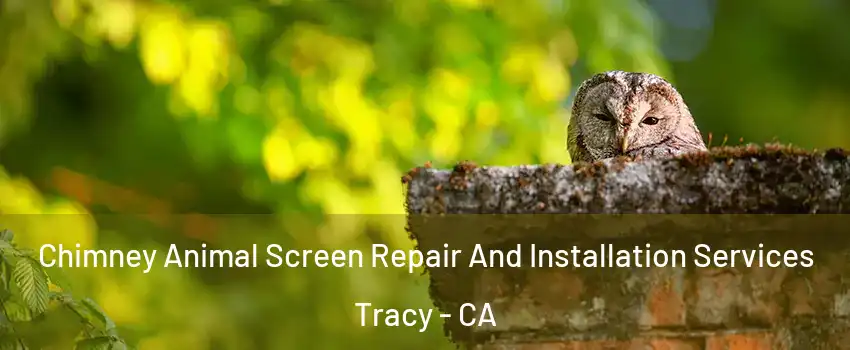  Chimney Animal Screen Repair And Installation Services Tracy - CA