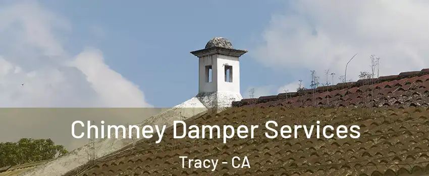  Chimney Damper Services Tracy - CA