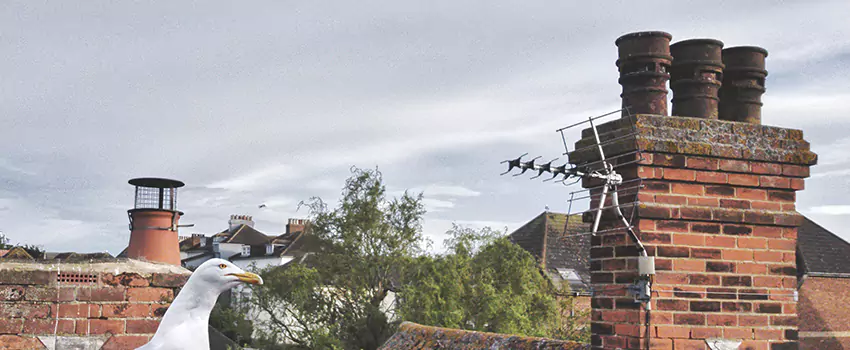 Chimney Cleaning And Restoration in Tracy, California