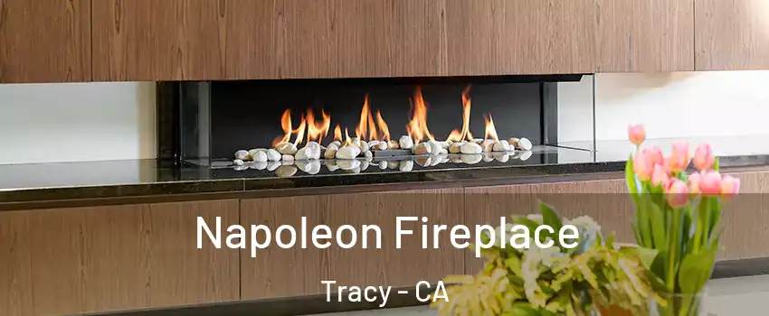  Napoleon Fireplace Tracy - CA